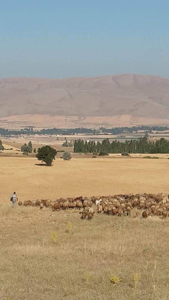 Tomarza Kesir Köyü  Resimleri 4