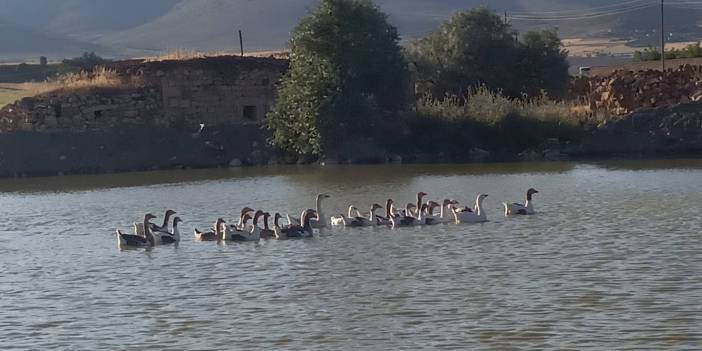 Tomarza Kevenağıl Köyü Resimleri