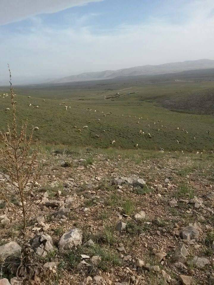 Tomarza Kömür Köyü Resimleri 1