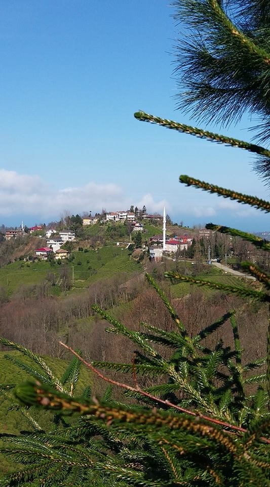 Pazar Aktepe Köyü Resimleri 3