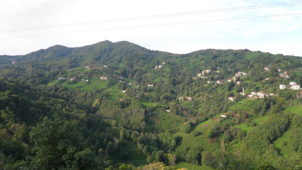 Pazar Aktepe Köyü Resimleri 5