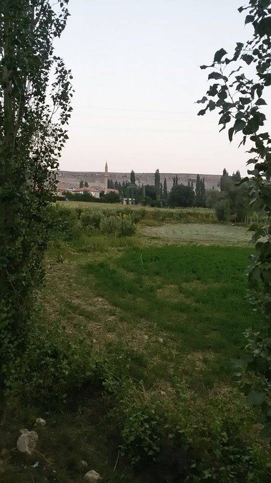 Tomarza Söğütlü Köyü Resimleri 3