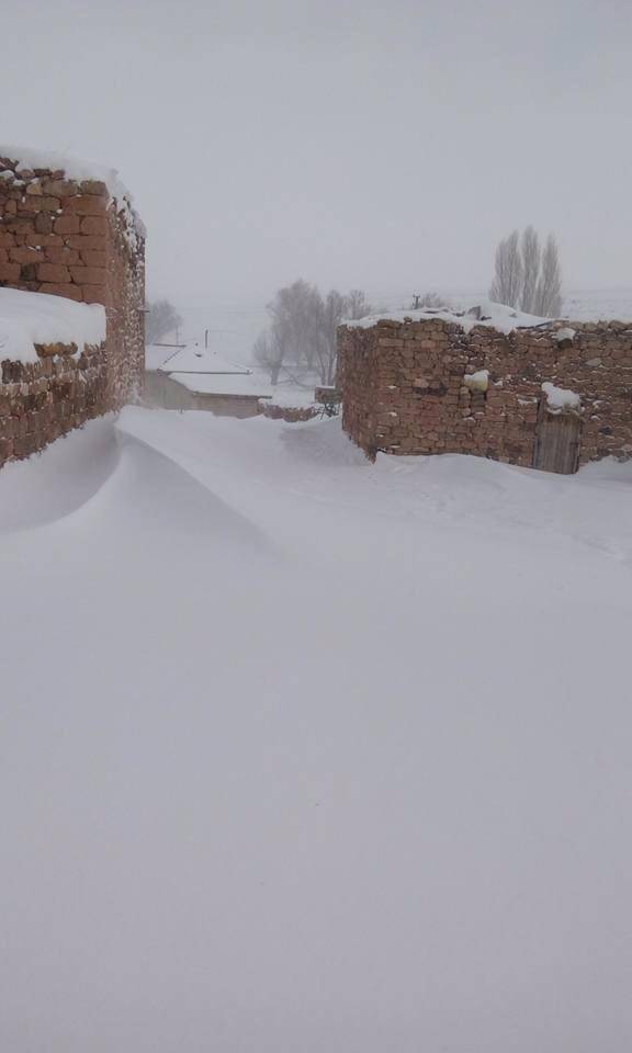 Tomarza Söğütlü Köyü Resimleri 5