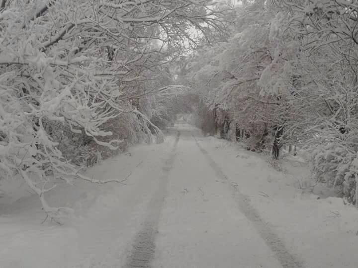 Tomarza Tatar  Köyü Resimleri 1