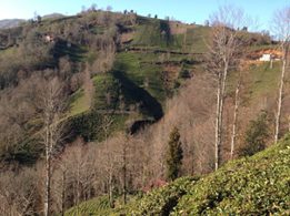 Pazar Alçılı Köyü Resimleri 1