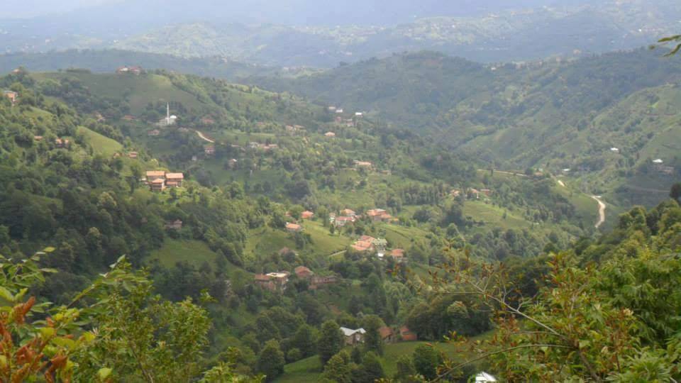 Pazar Alçılı Köyü Resimleri 10