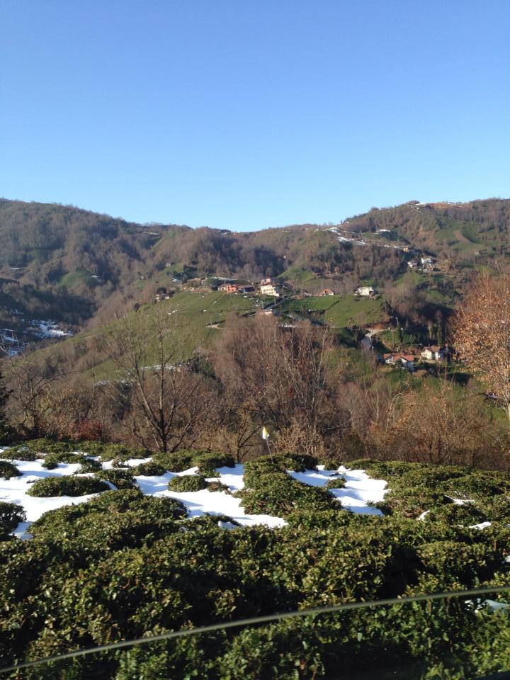 Pazar Alçılı Köyü Resimleri 3