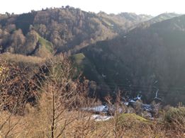 Pazar Alçılı Köyü Resimleri 5