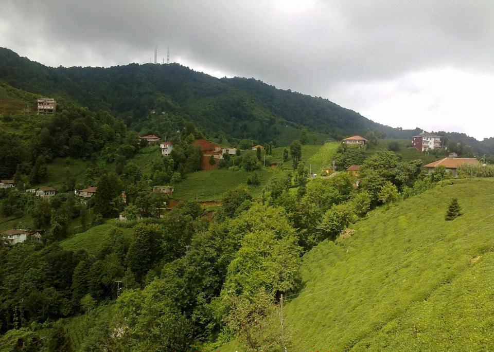 Pazar Alçılı Köyü Resimleri 6
