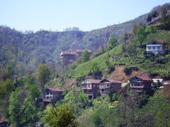 Pazar Alçılı Köyü Resimleri 7