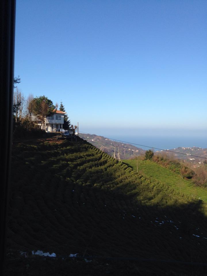 Pazar Alçılı Köyü Resimleri 8