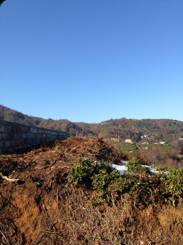 Pazar Alçılı Köyü Resimleri 9