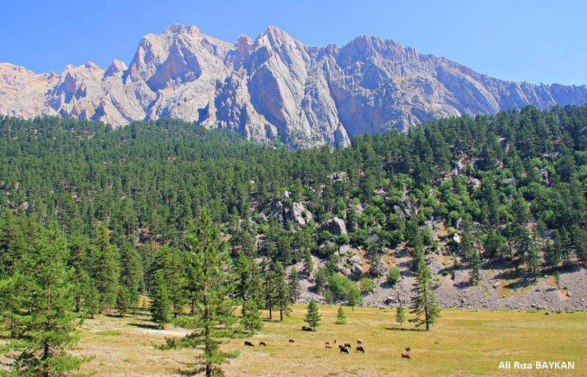 Yahyalı 100.Yıl Köyü Resimleri 1