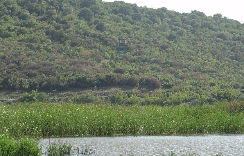 Yahyalı 100.Yıl Köyü Resimleri 2