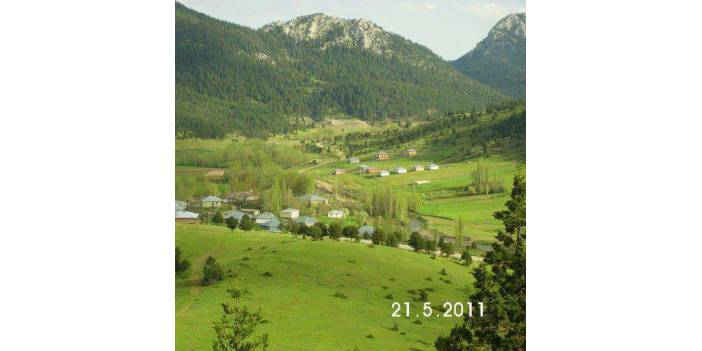 Yahyalı Burhaniye Köyü Resimleri