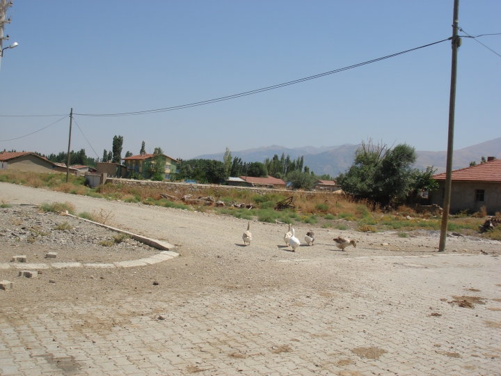 Afyon Çay Kadıköy Resimleri 37