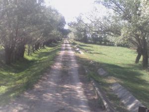 Afyon Çay Kadıköy Resimleri