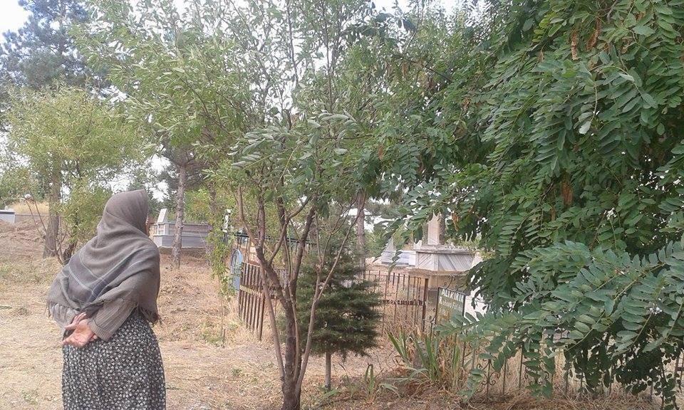 Yahyalı Camiikebir Köyü Resimleri 1