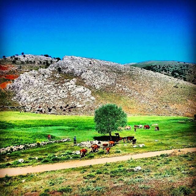 Yahyalı Denizovası Köyü Resimleri 1