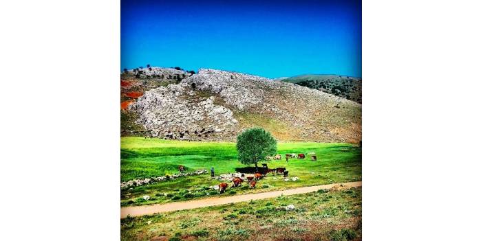 Yahyalı Denizovası Köyü Resimleri