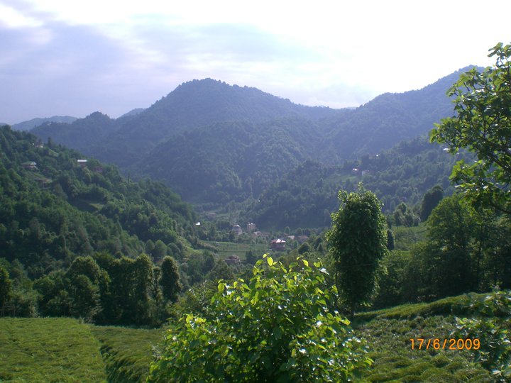 Pazar Başköy Köyü Resimleri 9