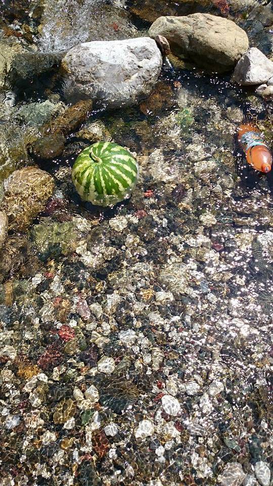 Yahyalı Gazibeyli Köyü Resimleri 2