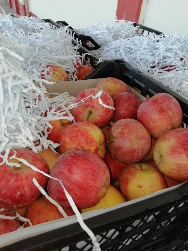 Yahyalı Gazibeyli Köyü Resimleri 3