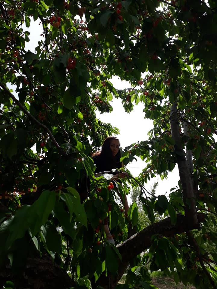 Yahyalı İlyaslı Köyü Resimleri 3