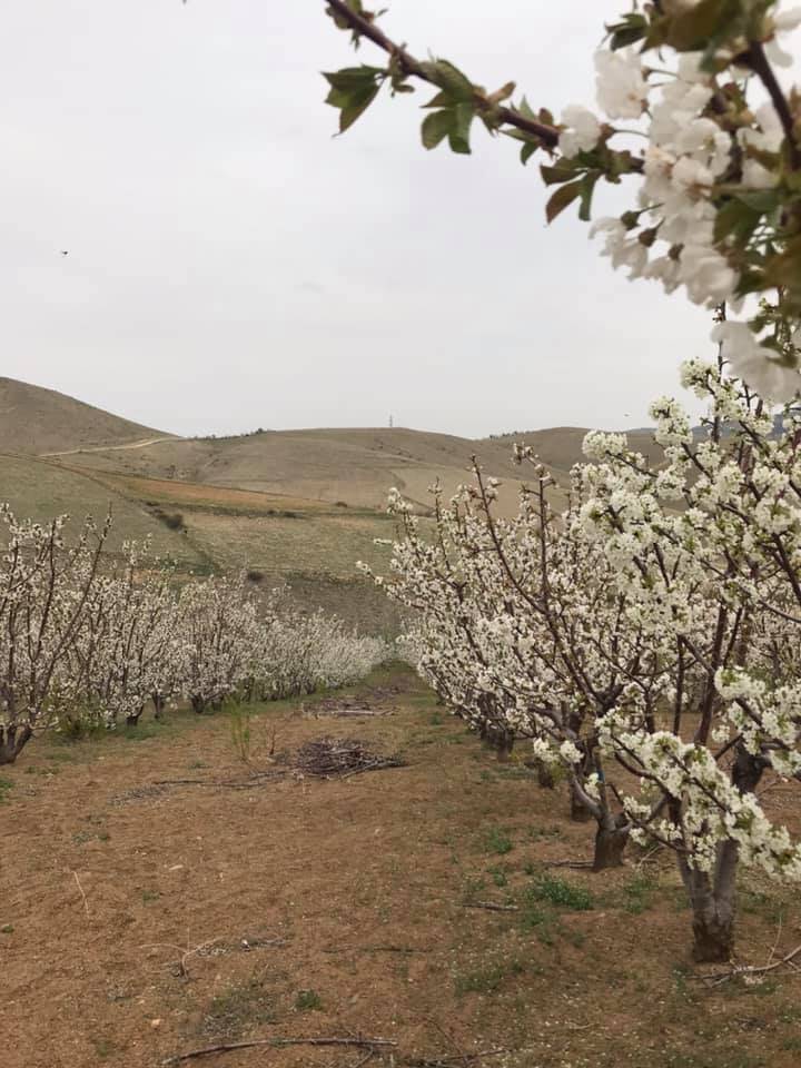 Yahyalı Kirazlı Köyü Resimleri 3