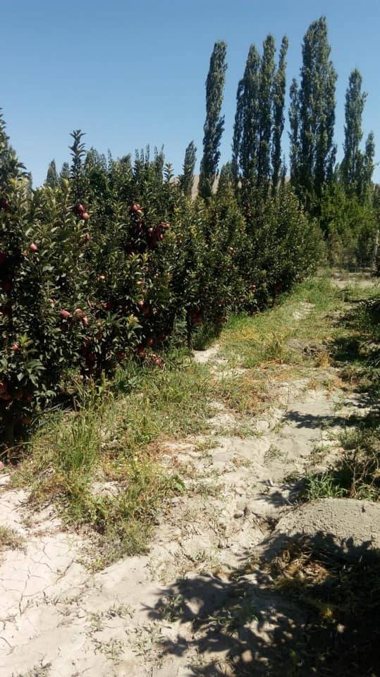 Yahyalı Kocahacılı Köyü Resimleri 3