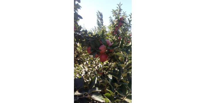 Yahyalı Kocahacılı Köyü Resimleri