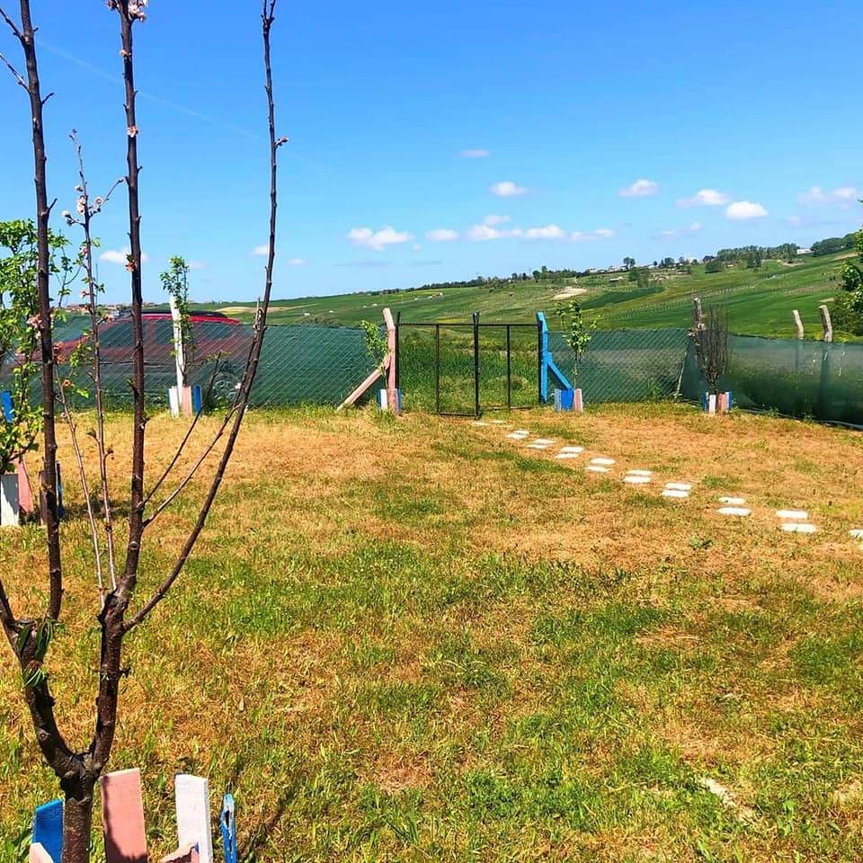 Arnavutköy Sazlıbosna Köyü Resimleri 6