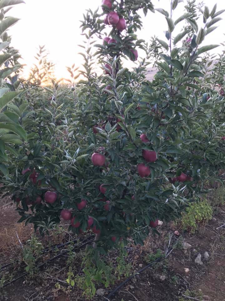 Yahyalı Kuzoluk Köyü Resimleri 3