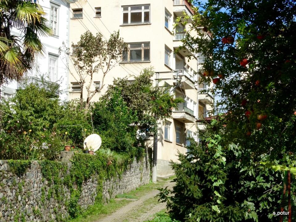 Pazar Bucak Köyü Resimleri 1