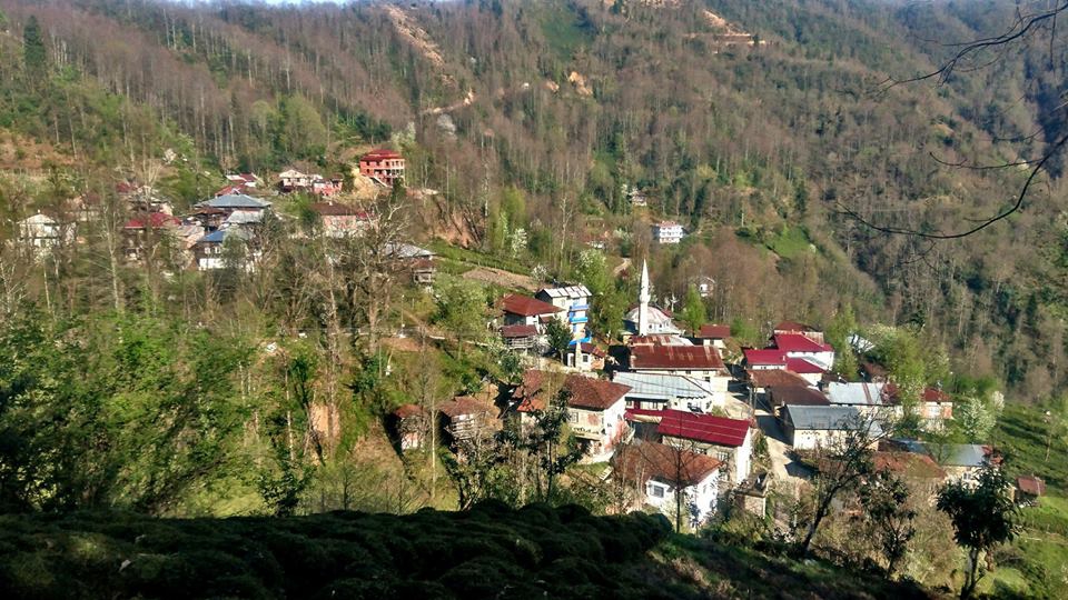 Pazar Bucak Köyü Resimleri 3
