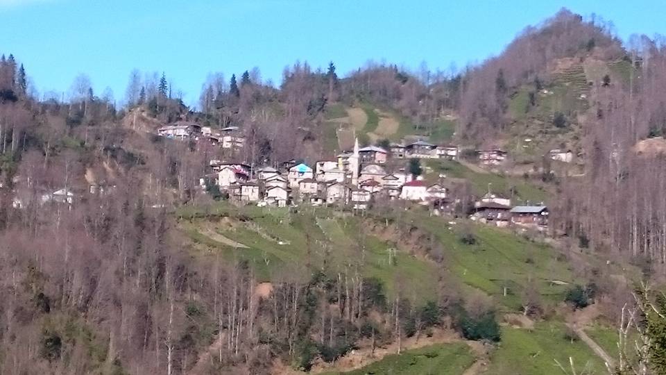 Pazar Bucak Köyü Resimleri 7
