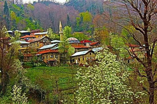 Pazar Bucak Köyü Resimleri 8