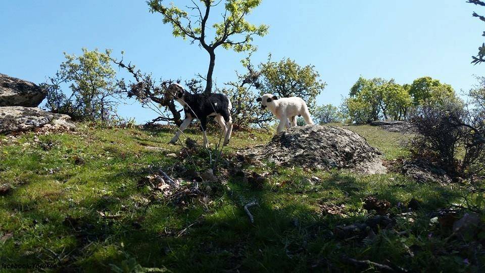 Yahyalı Seydili Köyü Resimleri 1