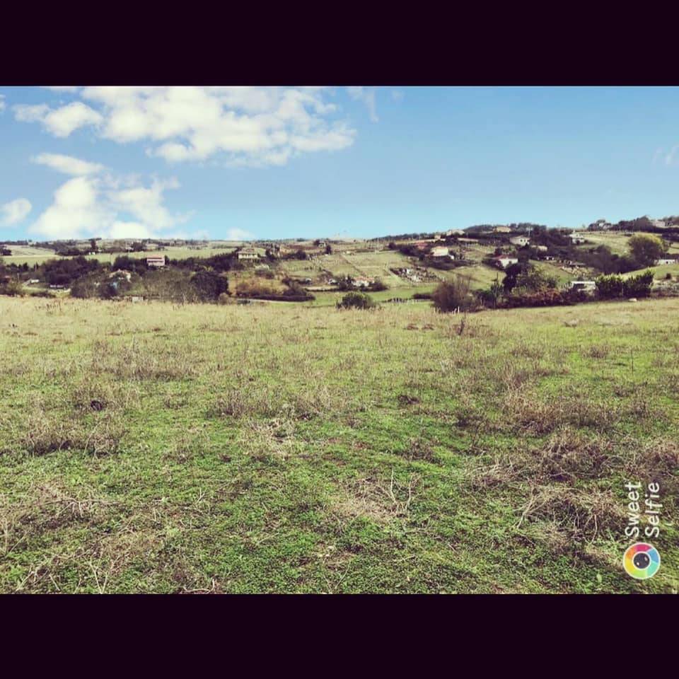 Arnavutköy Tayakadın Köyü Resimleri 3