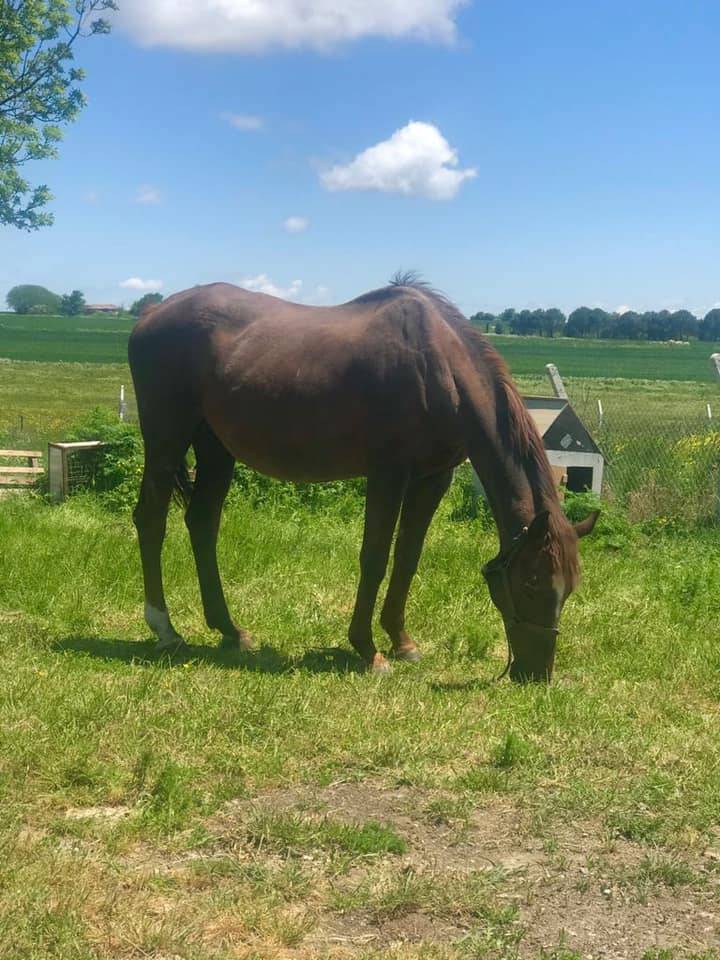 Arnavutköy Yassıören Köyü Resimleri 1