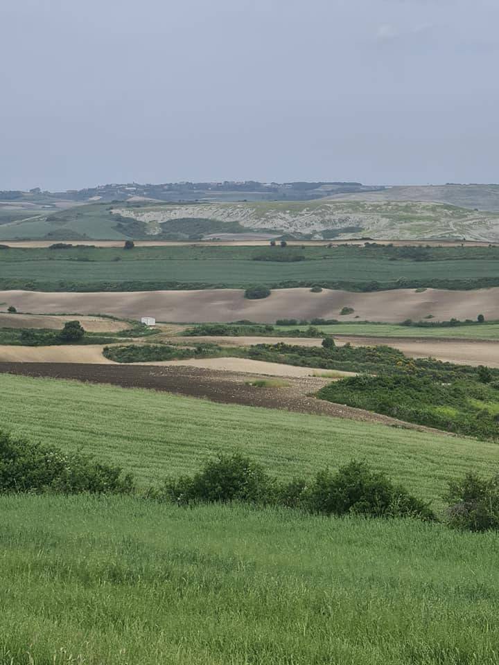 Arnavutköy Yassıören Köyü Resimleri 2