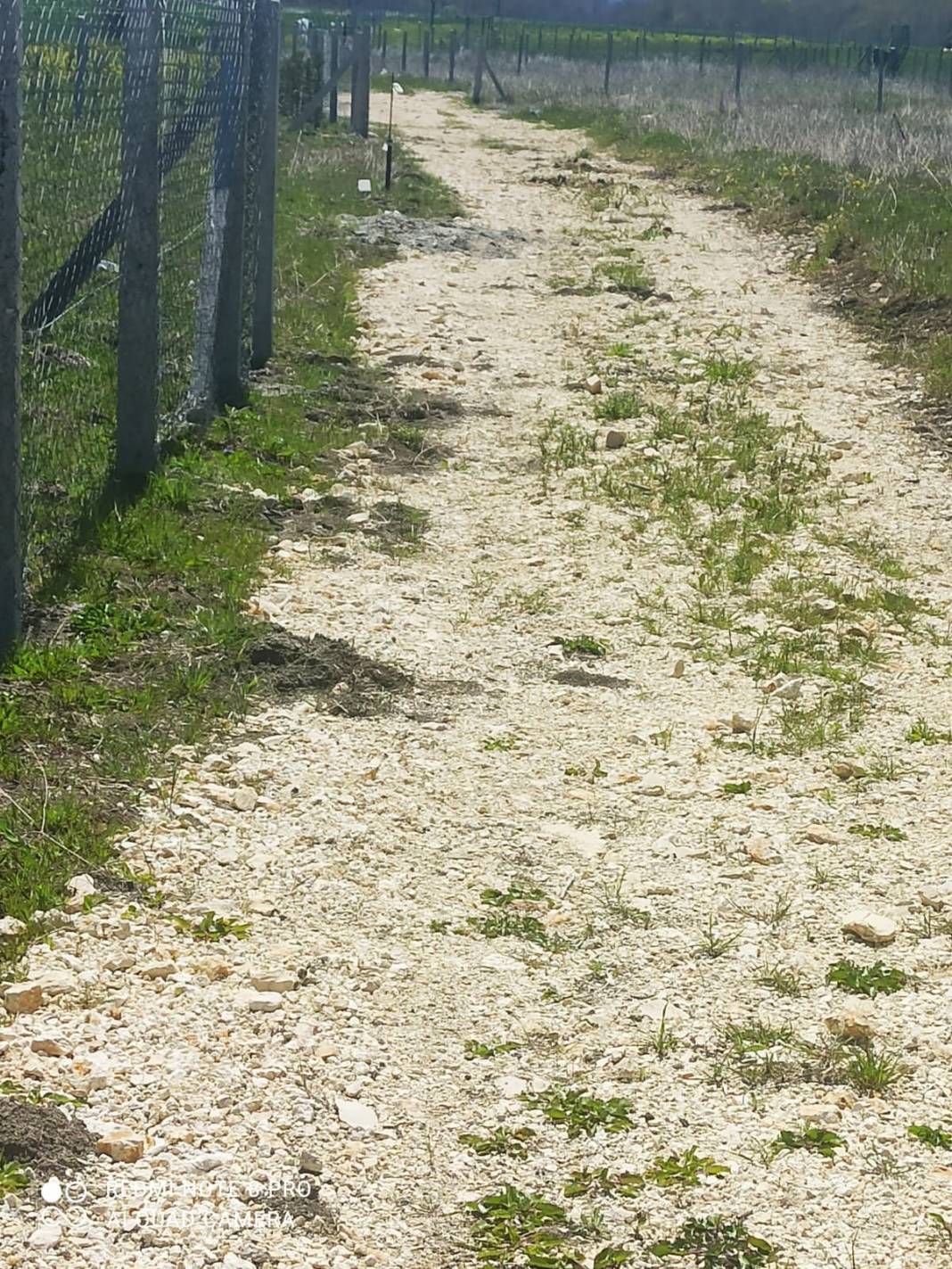 Çatalca Akalan Köyü Resimleri 5