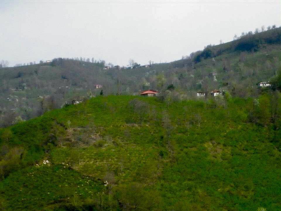 Yeşilhisar Akköy Köyü  Resimleri 1