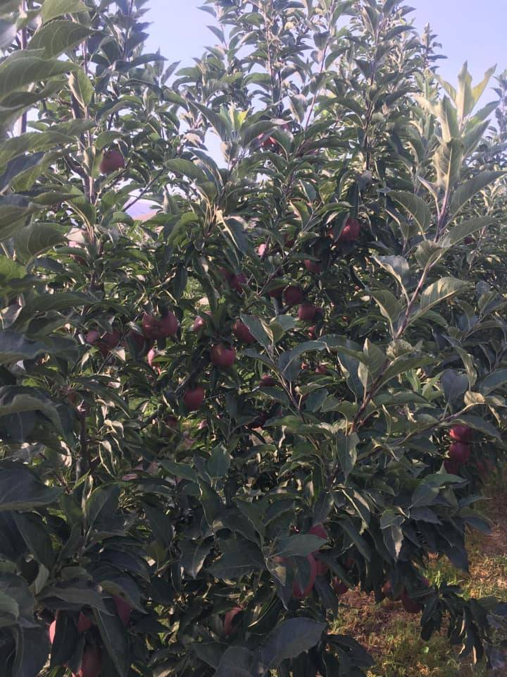 Yeşilhisar Çadırkaya Köyü Resimleri 3