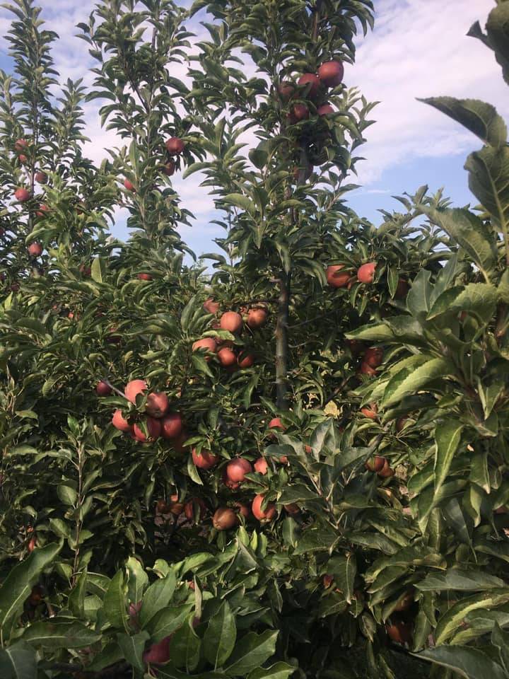 Yeşilhisar Çadırkaya Köyü Resimleri 4