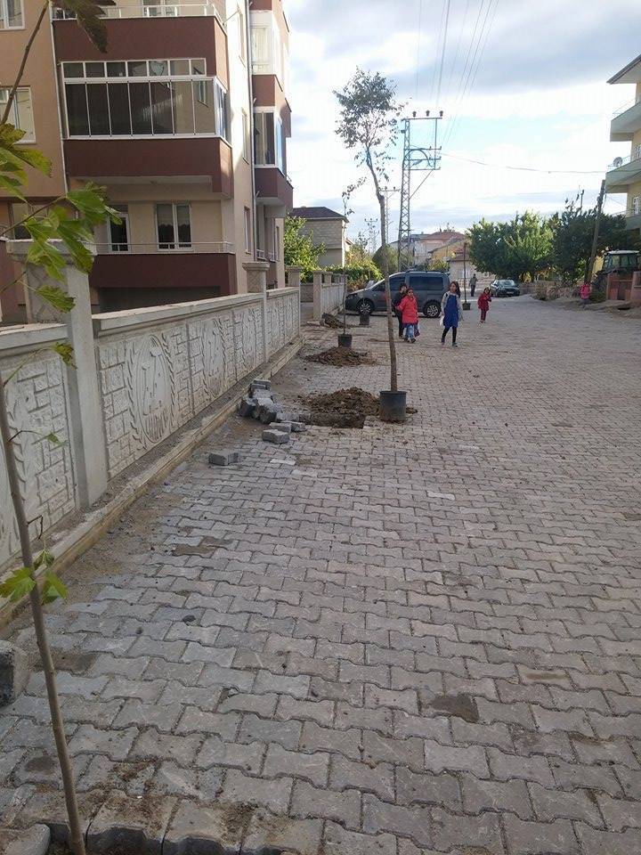 Yeşilhisar Fevzioğlu Köyü Resimleri 2