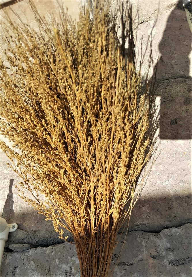 Yeşilhisar Güney  Köyü Resimleri 4