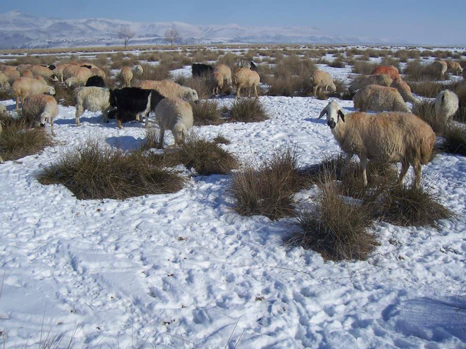 Yeşilhisar Güney  Köyü Resimleri 5
