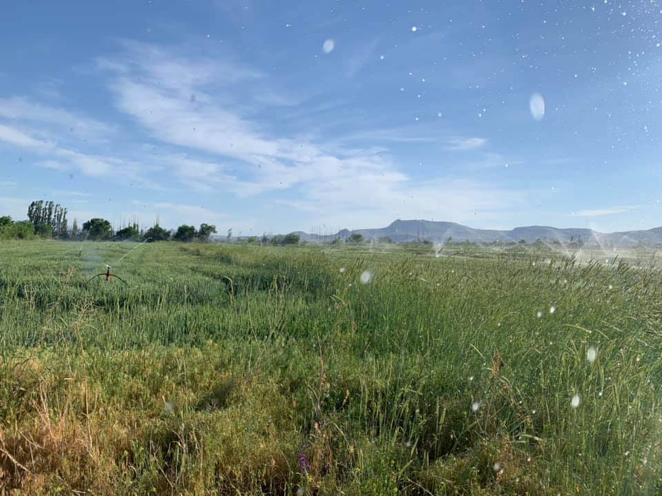 Yeşilhisar Kaleköy Köyü Resimleri 4