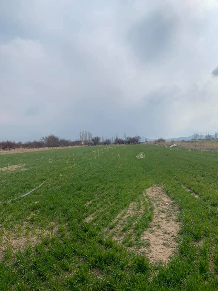 Yeşilhisar Kaleköy Köyü Resimleri 5